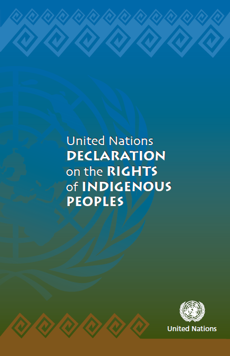 UN dec indig_0